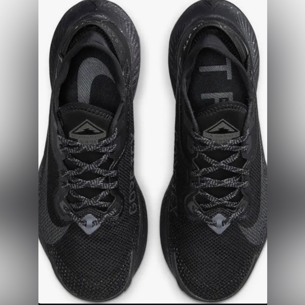 Nike Pegasus Trail GTX 'Black Metallic Dark Grey'